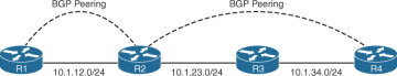 Figure 1-1