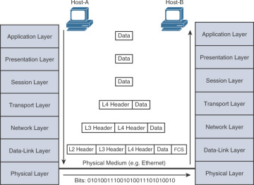 Figure 2-1