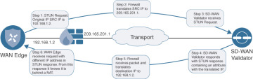 FIGURE 2.11